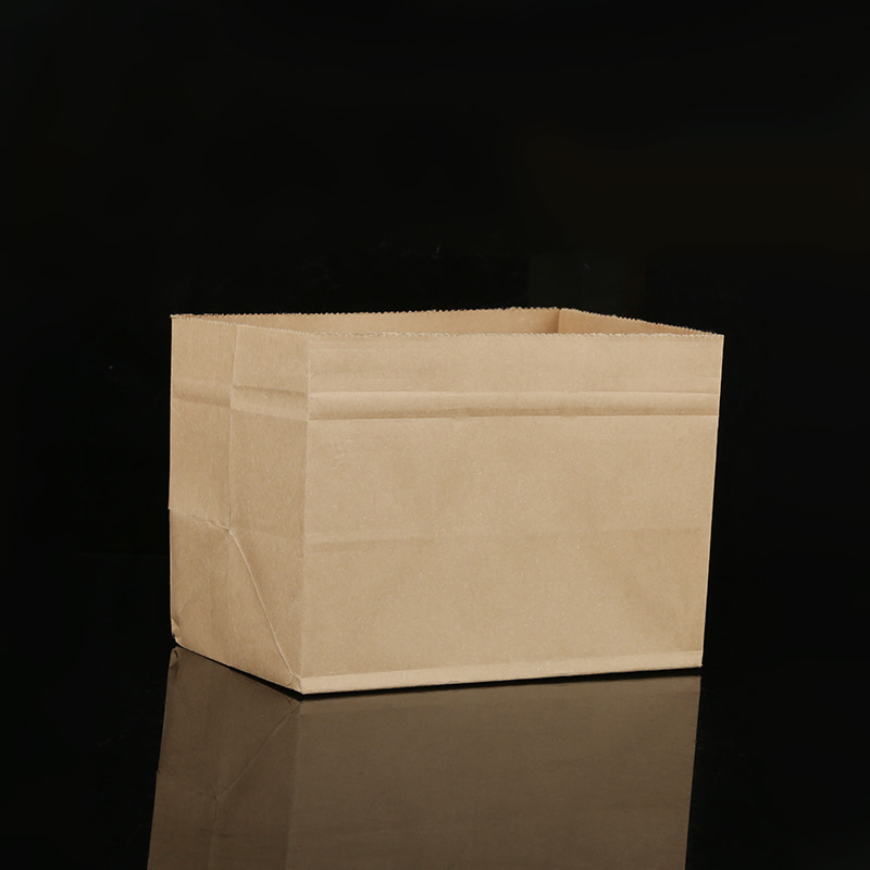 Kraft Paper Storage Bag